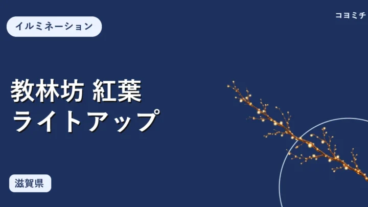 教林坊 紅葉ライトアップのイベントサムネイル