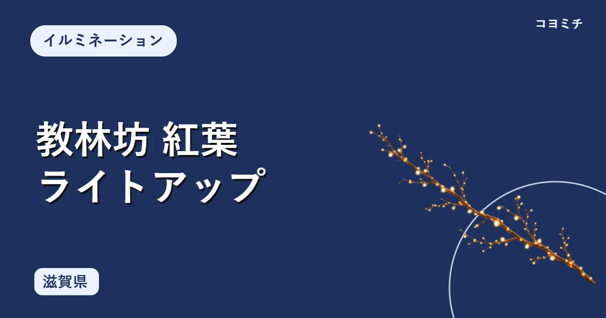 教林坊 紅葉ライトアップのイベントサムネイル