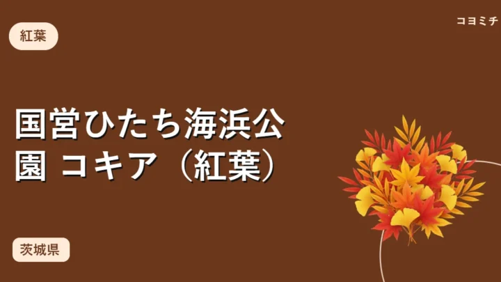 国営ひたち海浜公園 コキア（紅葉）のイベントサムネイル