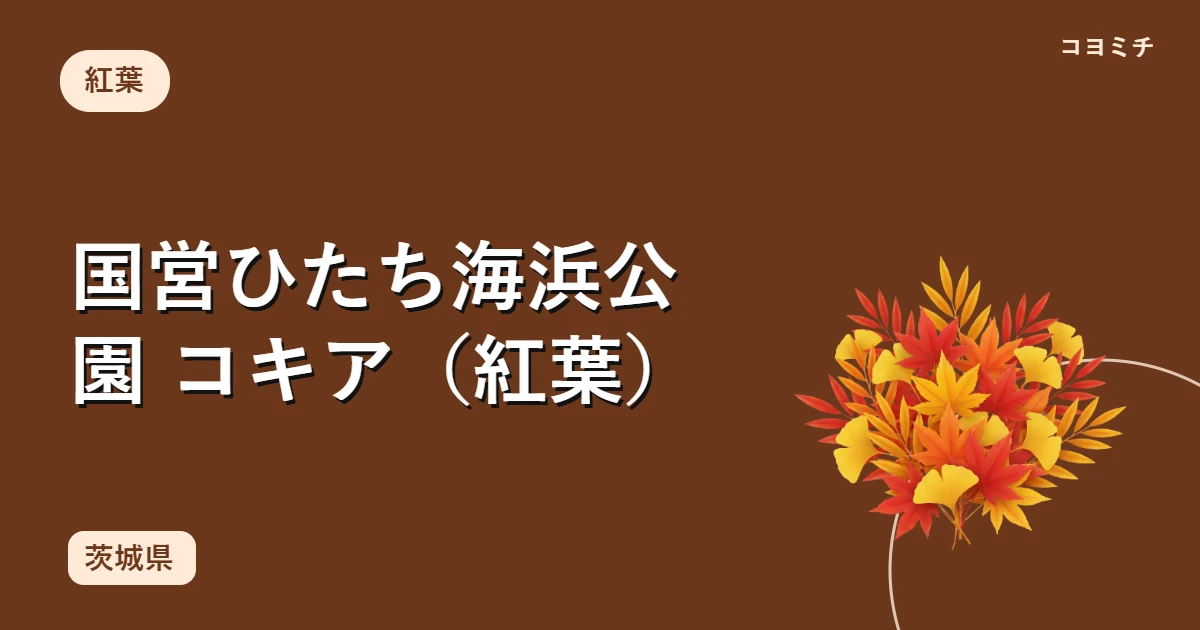 国営ひたち海浜公園 コキア(紅葉)のイベントサムネイル